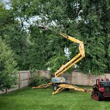 New Carlisle, IN Tree Removal Company